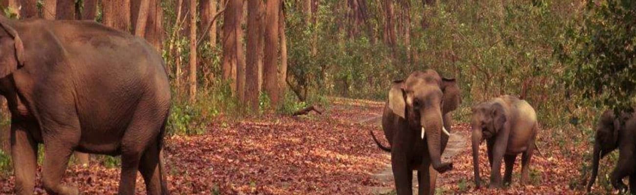  India Tours –  Explore Top Destinations, Culture, Nature & Adventures