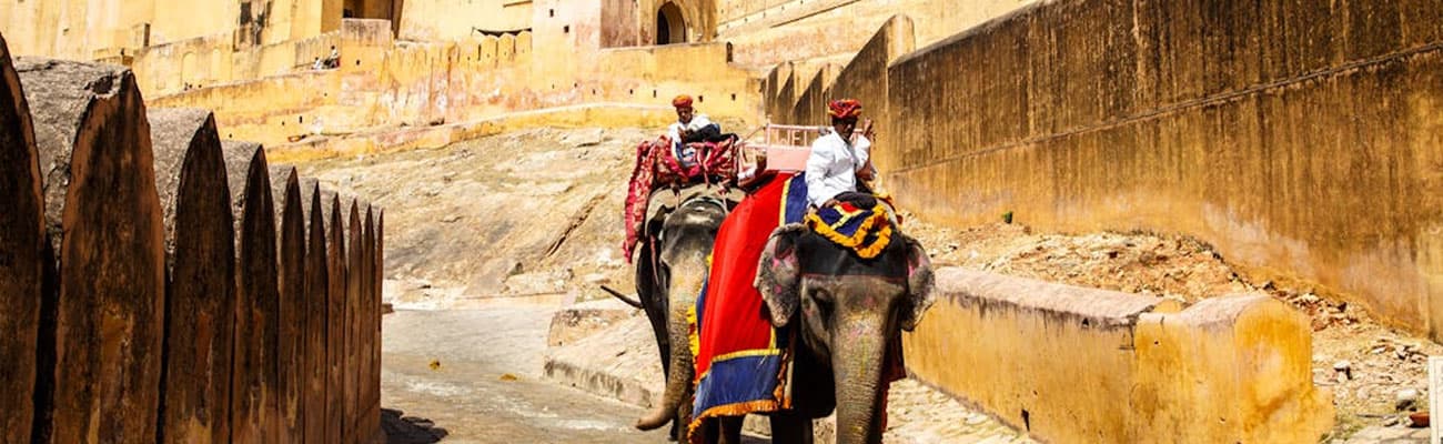 Rajasthan Tour
