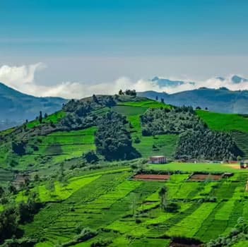 Kerala Hills, Backwaters & Beaches Tour