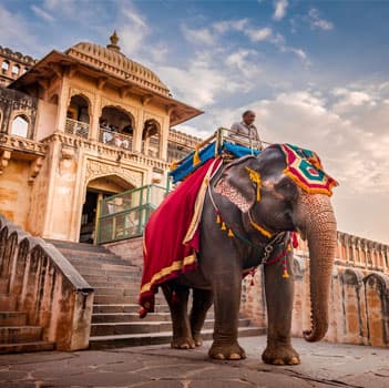 14 Days Rajasthan Forts and Palaces Tour Package