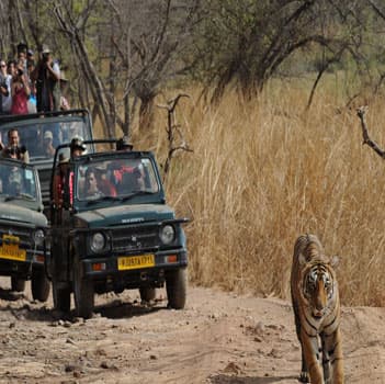 Jaipur, Chittorgarh & Ranthambore Tour Package